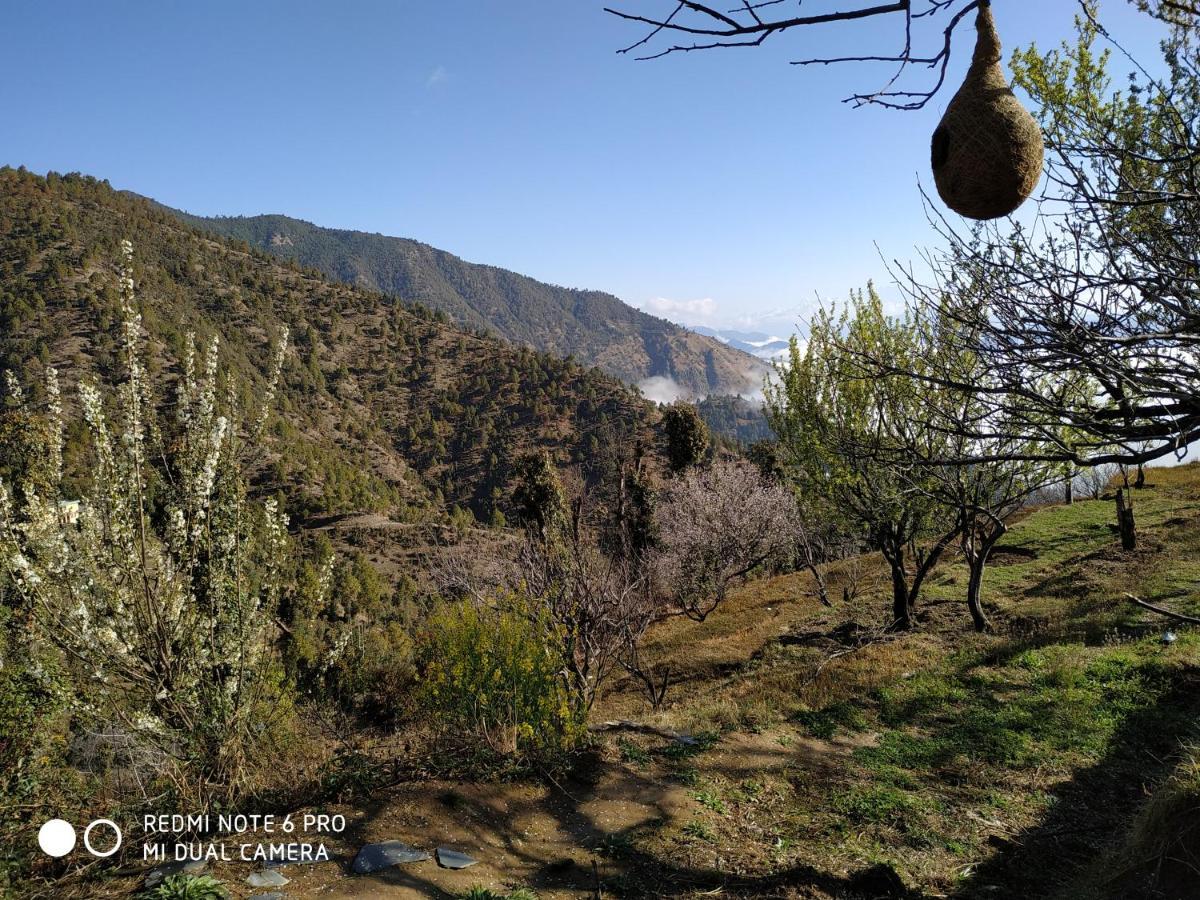 In Apple Estate Kanatal - Himalayan View Resort With Courteous Staff Exterior photo