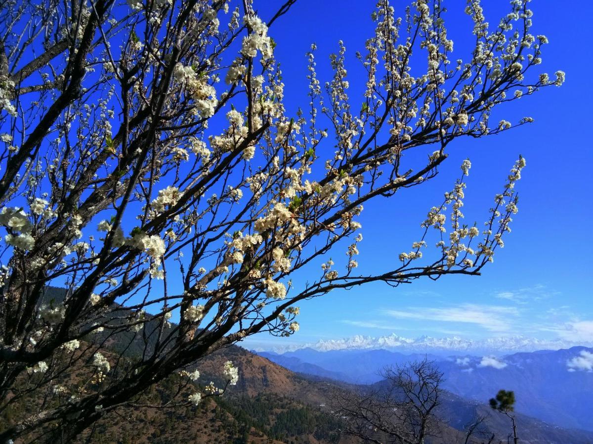 In Apple Estate Kanatal - Himalayan View Resort With Courteous Staff Exterior photo
