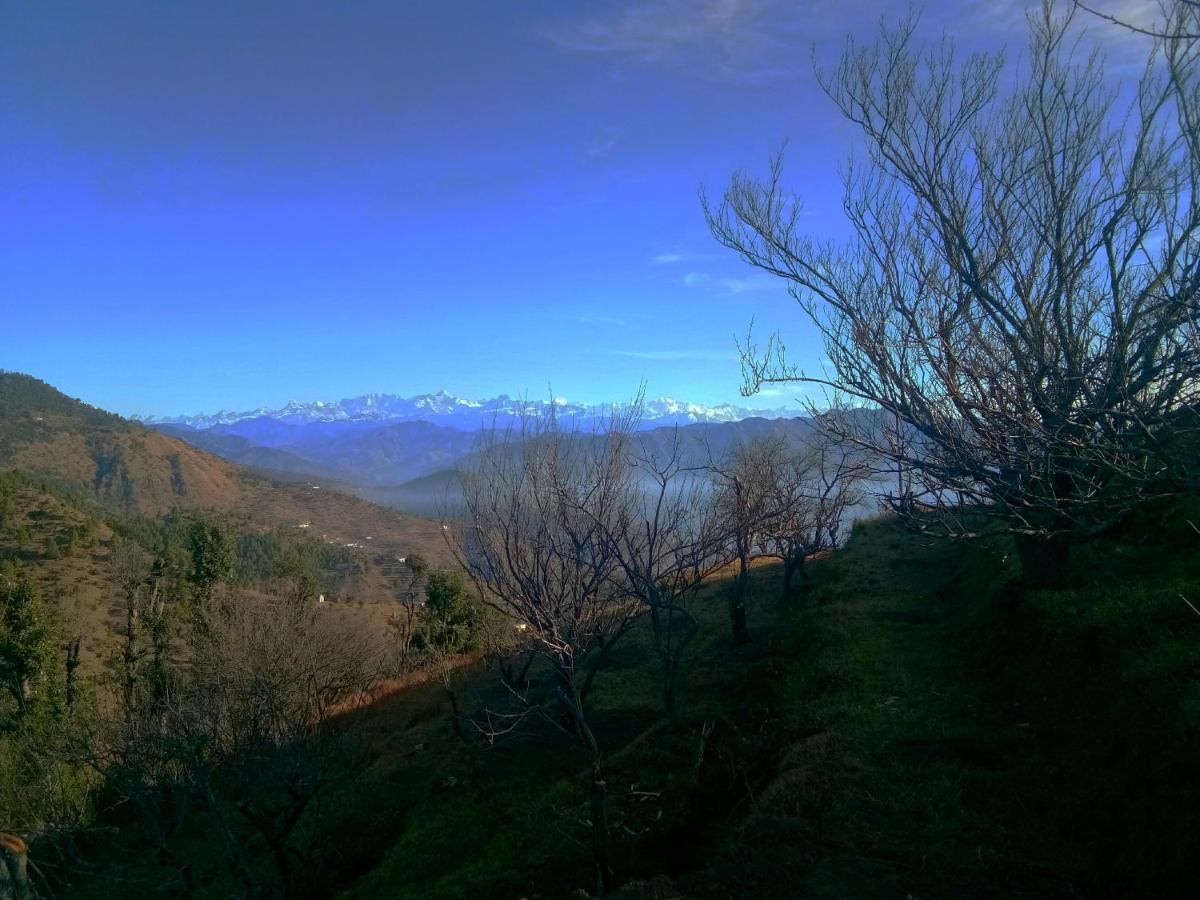In Apple Estate Kanatal - Himalayan View Resort With Courteous Staff Exterior photo